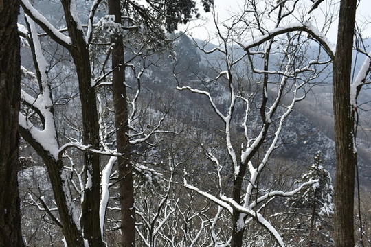 武當(dāng)山