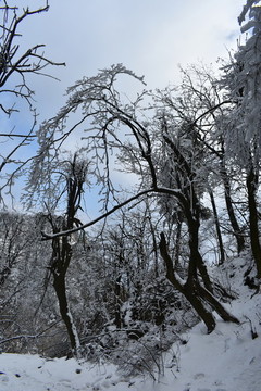 武當(dāng)山