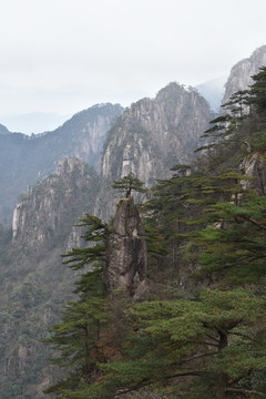 黃山