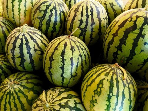 夏日新鮮西瓜