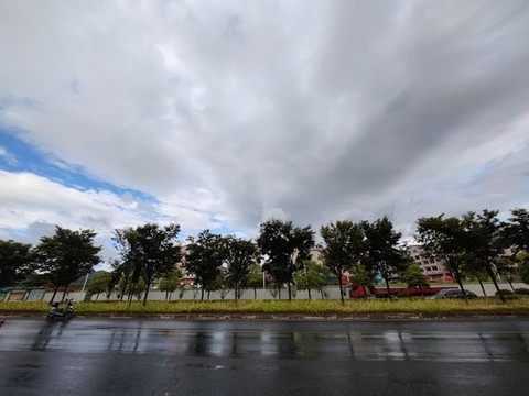 馬路風景