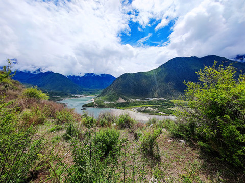 雅尼濕地