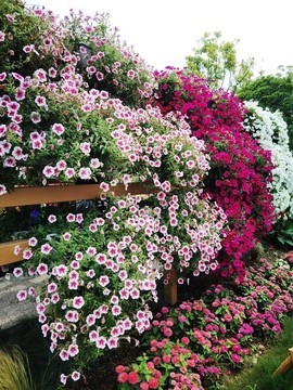 立體花廊