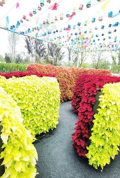園林立體綠植