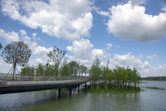 元蕩湖公園