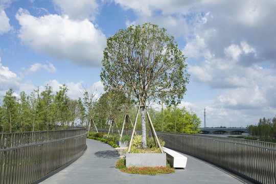 元蕩湖公園慢行橋