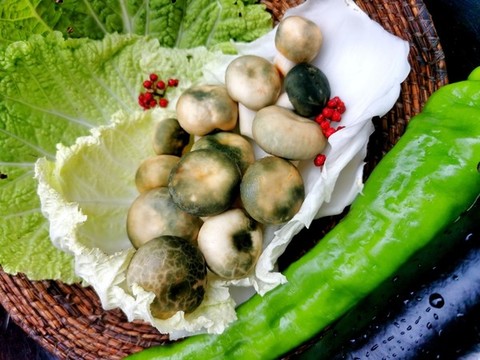青頭菌野生菌鄉(xiāng)村美食素材