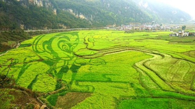 巴馬長(zhǎng)壽村