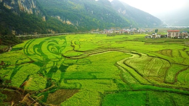 巴馬長壽村