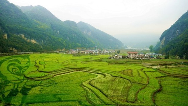 巴馬長壽村