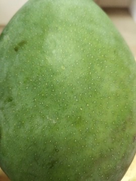 凱特大芒果皮花紋特寫