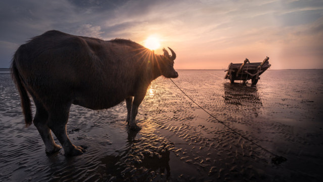 趕海