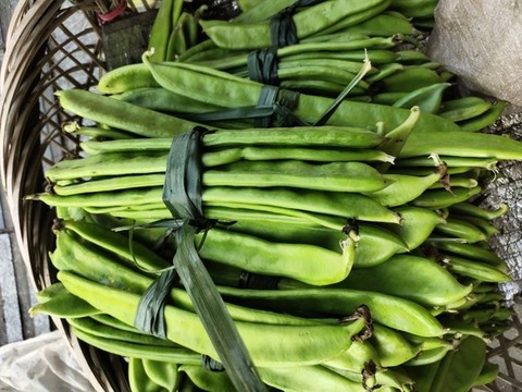 豆類蔬菜