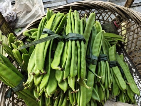 一籃子刀刀莢