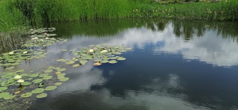 湖泊倒影