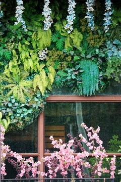綠植墻