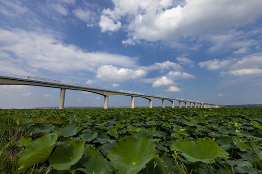 大西高鐵黃河特大橋