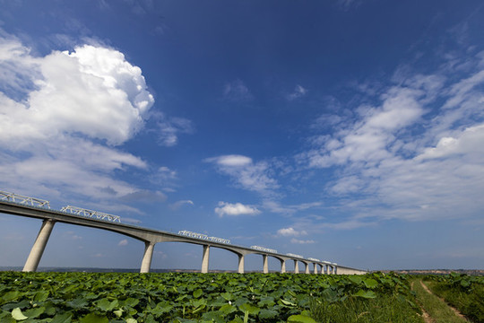 大西高鐵黃河特大橋