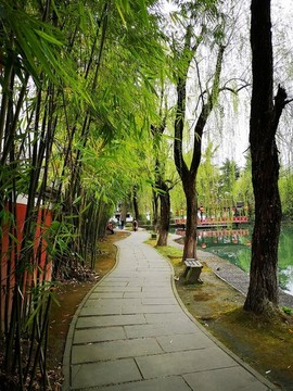 公園石板路