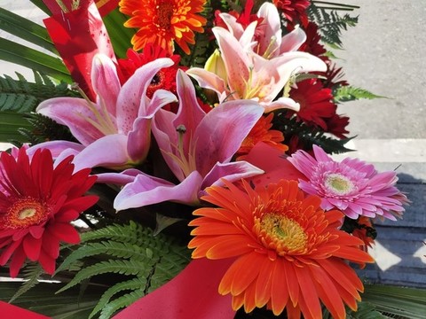 百合花