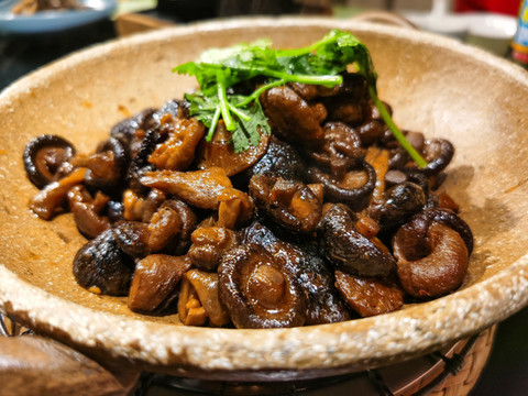 小雞燉蘑菇