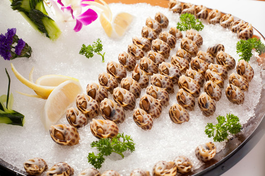 冰鎮(zhèn)花螺