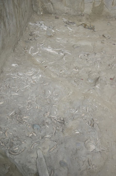 金沙遺址