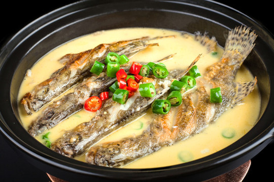 桂魚