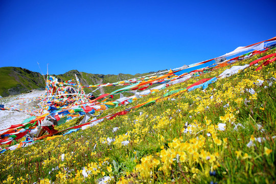 五彩經(jīng)幡