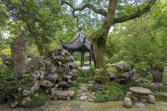 上海古猗園