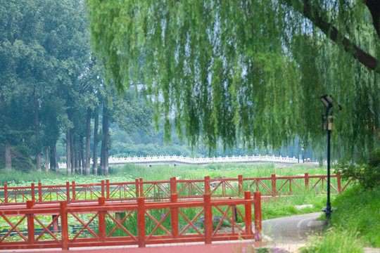 圓明園景觀