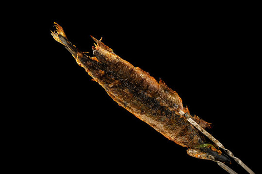 烤秋刀魚