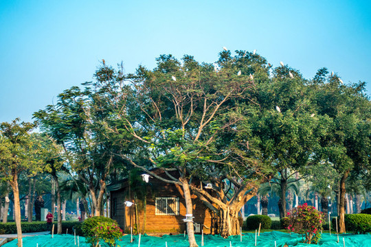 海灣公園