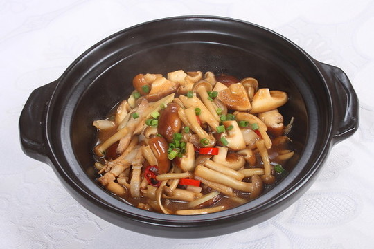 雜菌煲