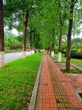 林蔭大道