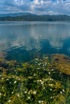 瀘沽湖