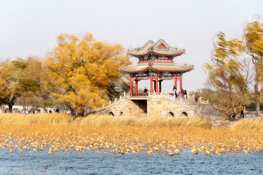 秋天的北京頤和園
