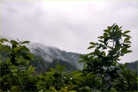 雨霧山