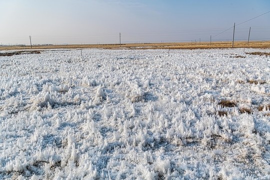 雅魯藏布江濕地