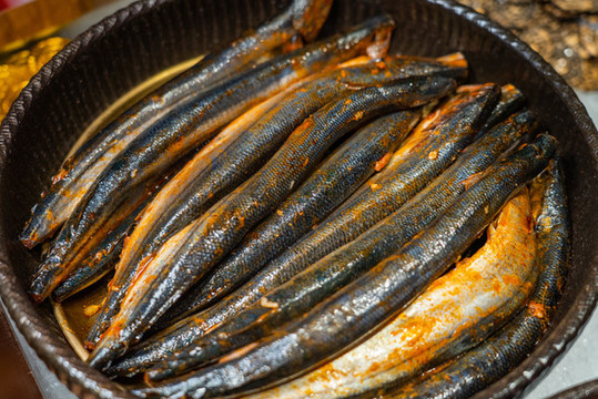 鮮秋刀魚