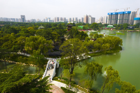 興慶公園
