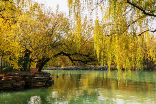北京頤和園秋天風景