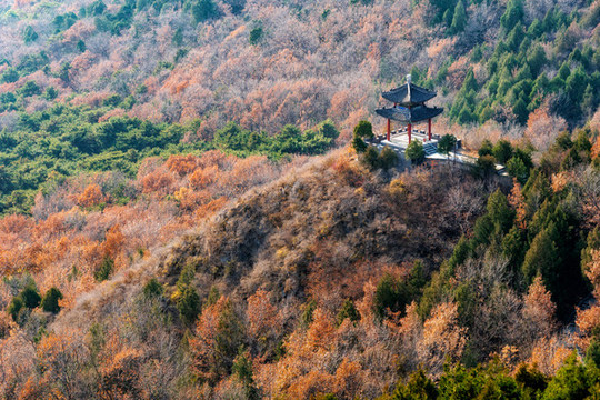 秋日北京懷柔紅螺山山間的亭子
