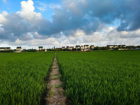田野小土路