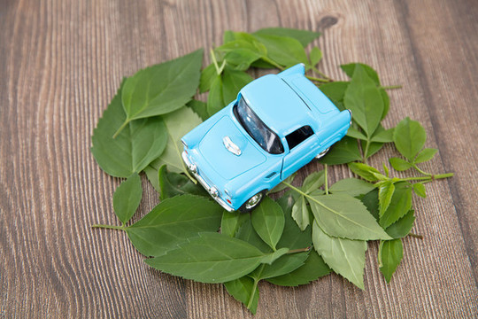 樹葉上的小汽車模型