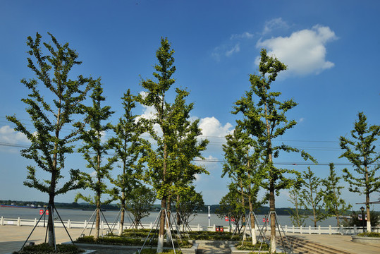 長(zhǎng)江邊公園