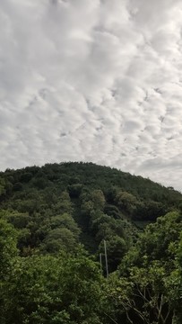 山丘