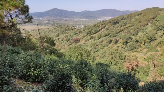 城鎮(zhèn)