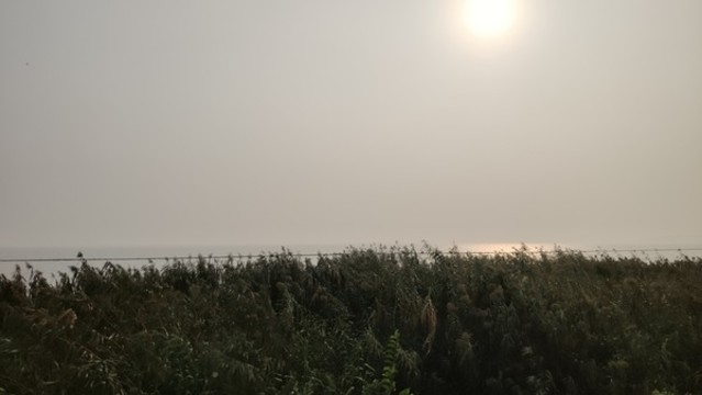 太湖湖岸