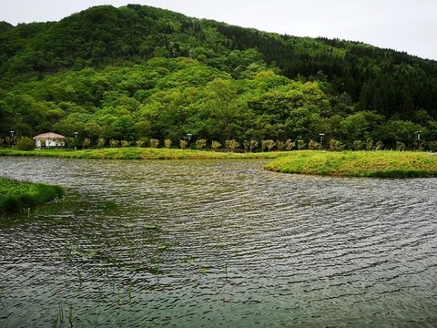 濕地公園